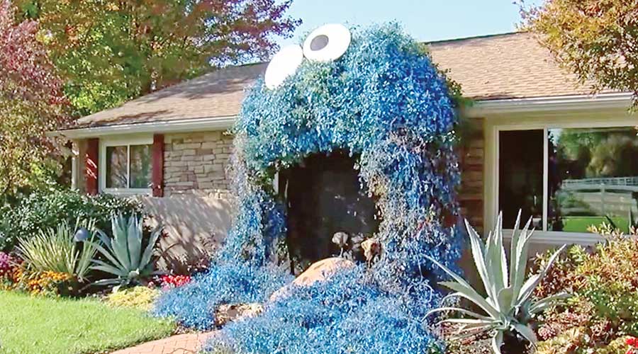 Pennsylvania woman's giant Cookie Monster front door display for trick(02)